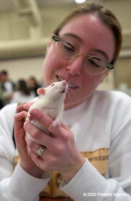 Michaela Darling, a &quot;rat-siiter&quot; by profession, cuddles with a young female rat at a Rat Festival in San Mateo,CA, on April 3, 2005. - 15-01-2260-0016
